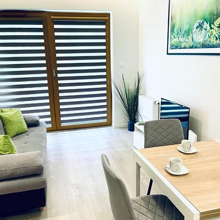 Modern Silver Apartment 克拉科夫 外观 照片