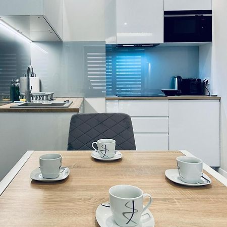 Modern Silver Apartment 克拉科夫 外观 照片