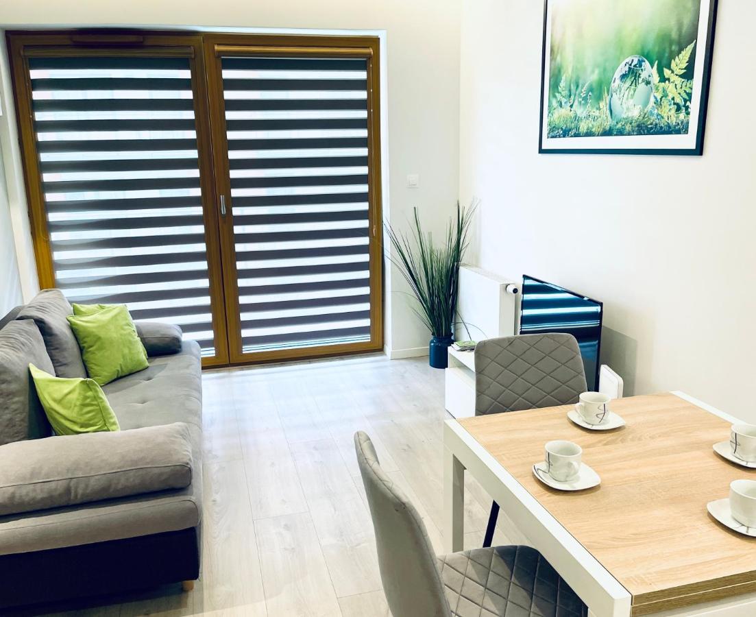 Modern Silver Apartment 克拉科夫 外观 照片