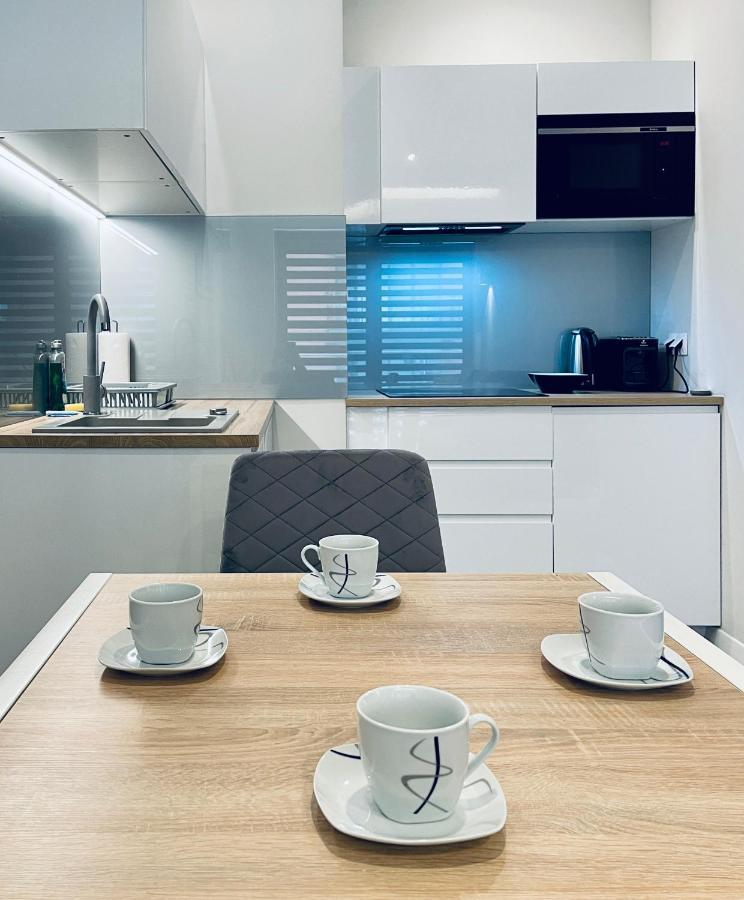 Modern Silver Apartment 克拉科夫 外观 照片